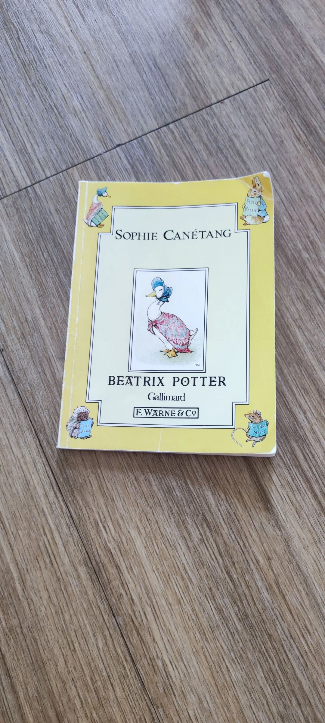 📚 Lote de 2 libros de literatura clásica para niños – photo 2